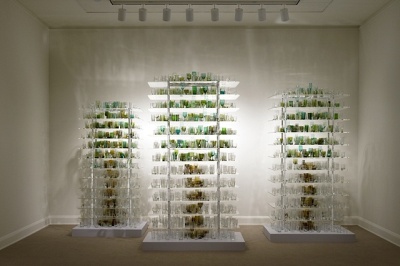 Forest Glass, 2009. Glass and Mixed Media. 63 x 30 x120 in.